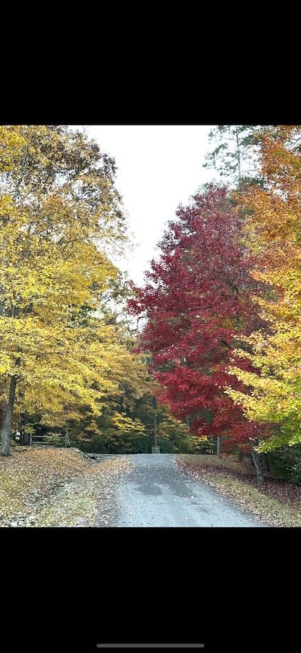 1.81 AC Nature Valley Trail, Murphy NC 28906 - Photo