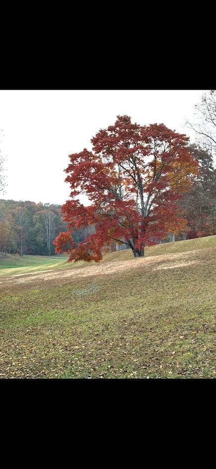 1.81 AC Nature Valley Trail, Murphy NC 28906 - Photo