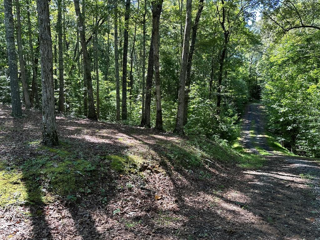 1.81 AC Nature Valley Trail, Murphy NC 28906 - Photo