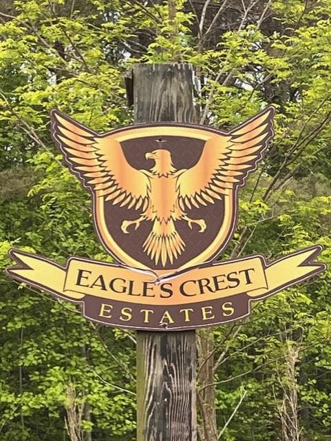 Lot 60 Cartecay View Lane, Ellijay GA 30536 - Primary photo