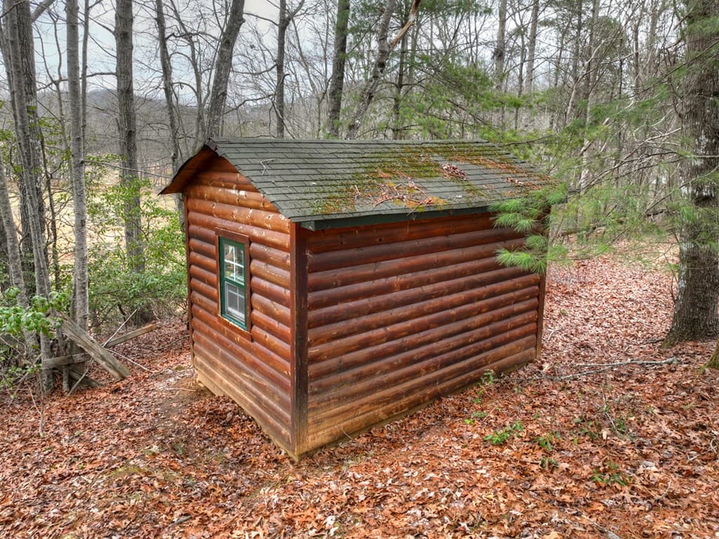 61 Spring Ridge Trail, Morganton GA 30560 - Photo