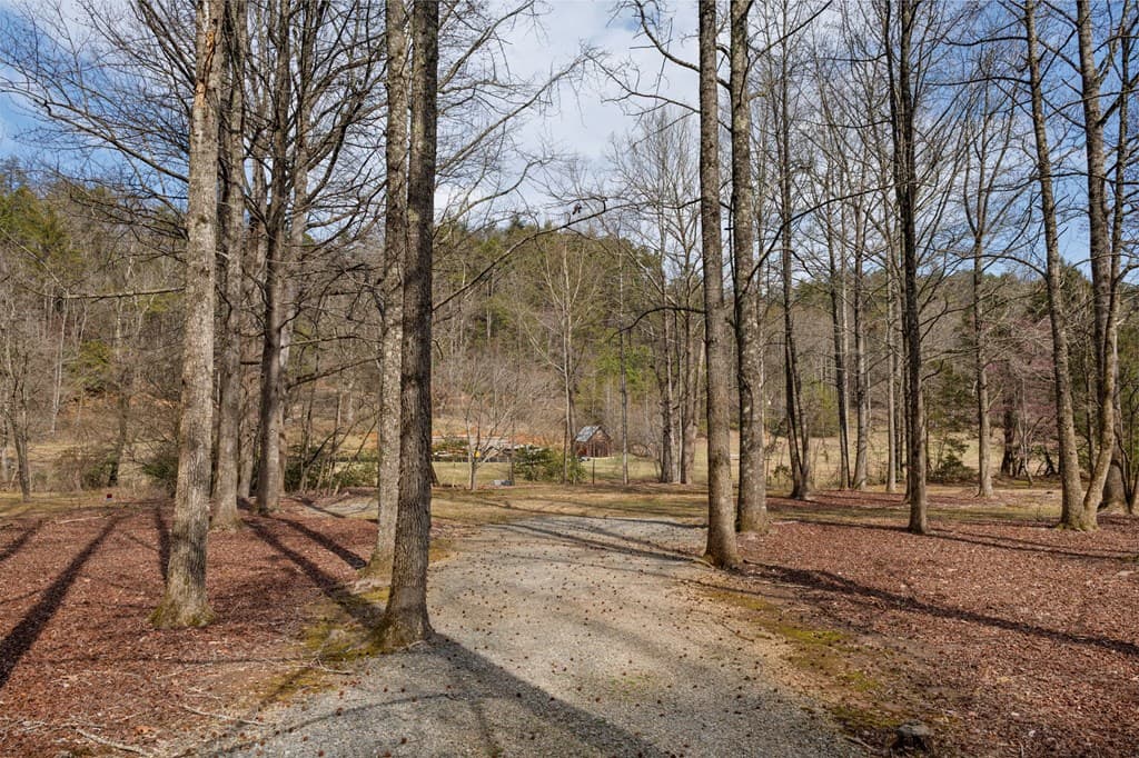 105 River Road, Cherry Log GA 30522 - Photo
