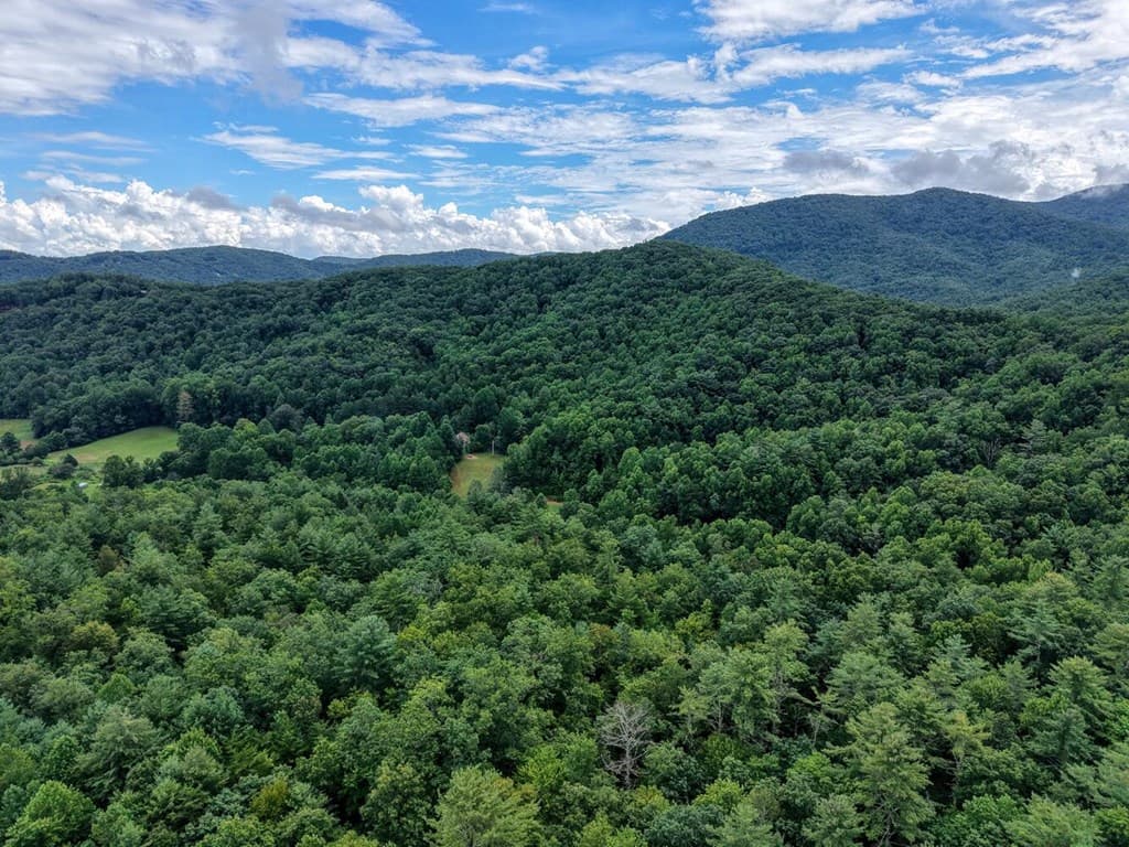 580 Emmaus Road, Epworth GA 30541 - Photo