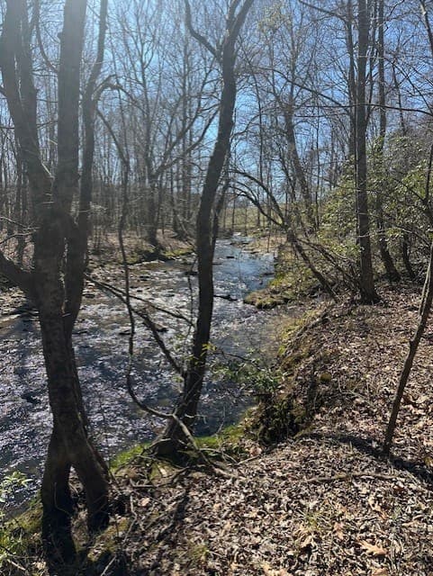 Lot 16 Bravo Way, Talking Rock GA 30175 - Photo