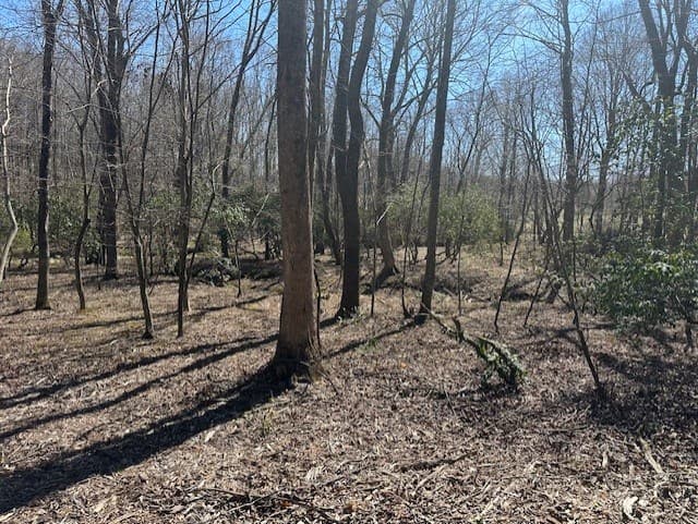 Lot 16 Bravo Way, Talking Rock GA 30175 - Photo