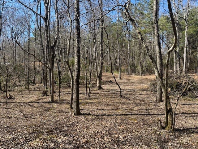 Lot 16 Bravo Way, Talking Rock GA 30175 - Photo