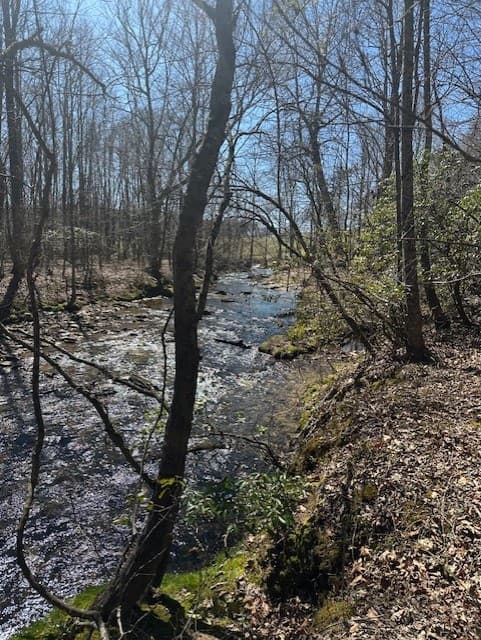 Lot 16 Bravo Way, Talking Rock GA 30175 - Photo