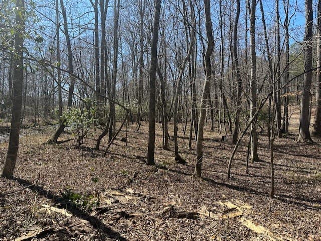 Lot 16 Bravo Way, Talking Rock GA 30175 - Photo