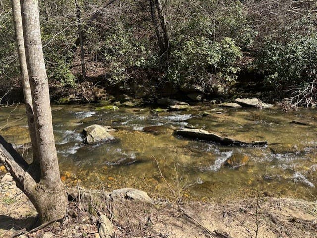 Lot 16 Bravo Way, Talking Rock GA 30175 - Photo
