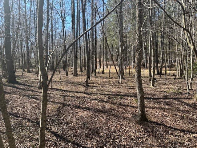 Lot 16 Bravo Way, Talking Rock GA 30175 - Photo