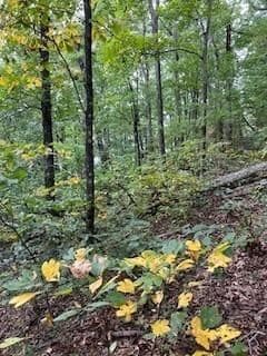 257 Andes Ridge, Jasper GA 30143 - Photo