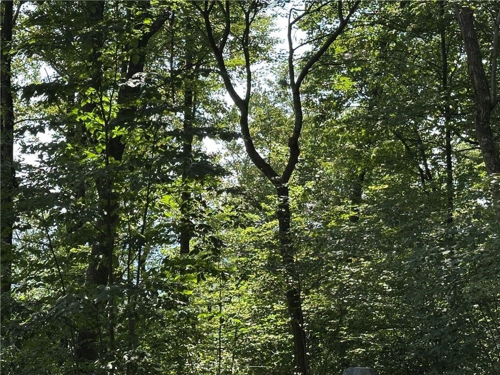 257 Andes Ridge, Jasper GA 30143 - Photo