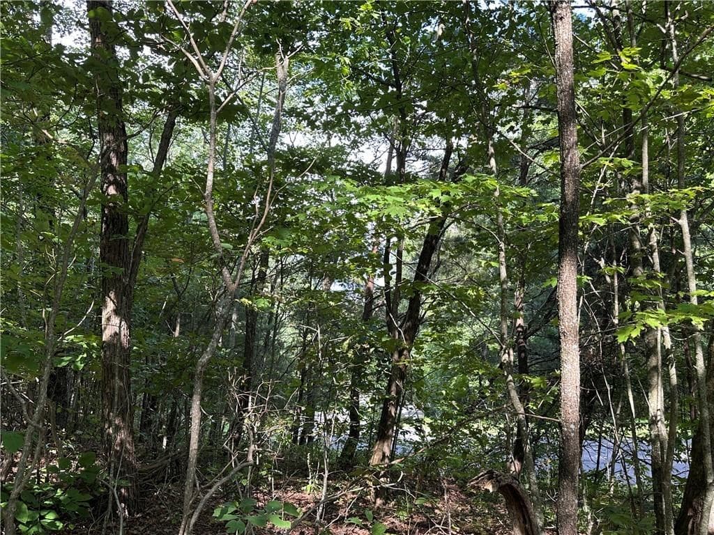 257 Andes Ridge, Jasper GA 30143 - Photo