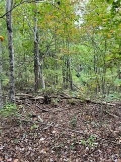 257 Andes Ridge, Jasper GA 30143 - Photo