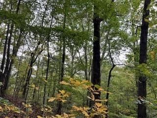 257 Andes Ridge, Jasper GA 30143 - Photo