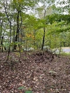 257 Andes Ridge, Jasper GA 30143 - Photo