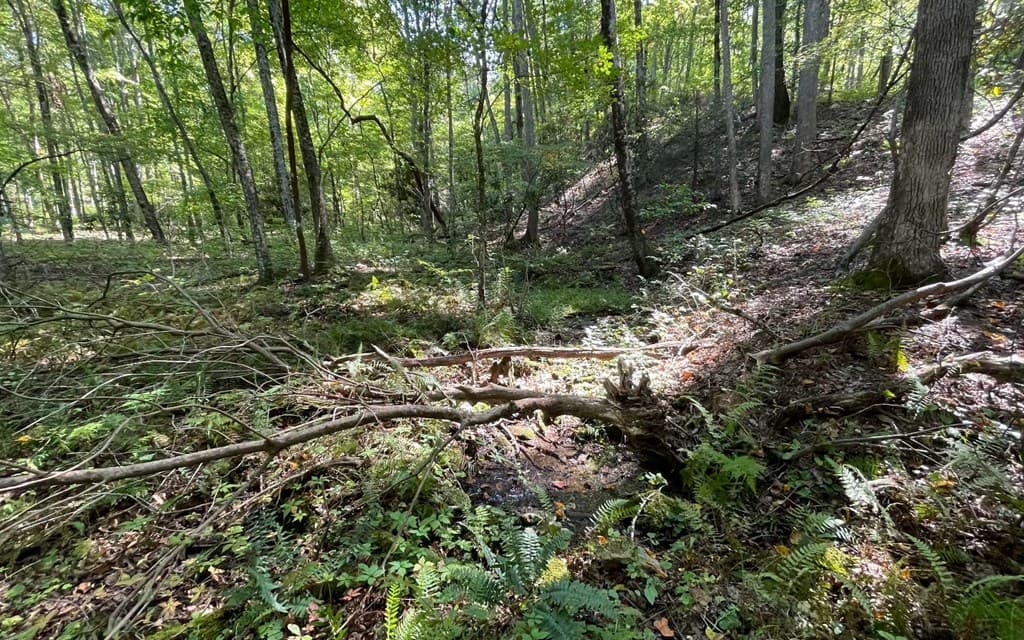 Lot 22 High Meadows, Hayesville NC 28904 - Photo