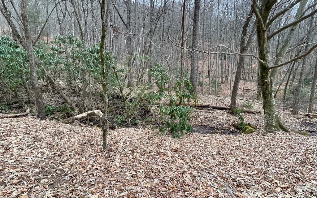 Lot 22 High Meadows, Hayesville NC 28904 - Photo