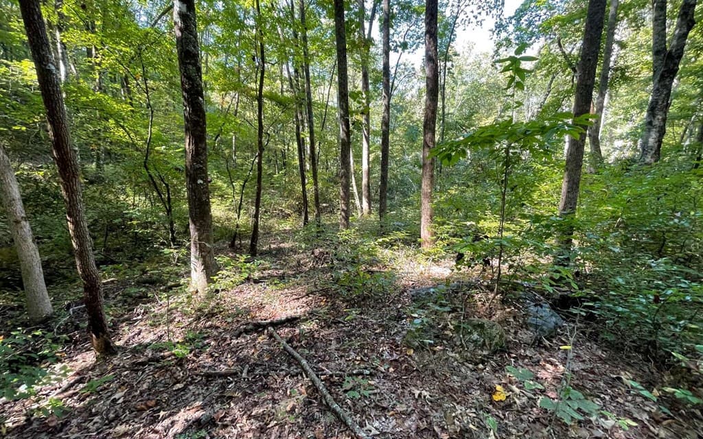 Lot 22 High Meadows, Hayesville NC 28904 - Photo