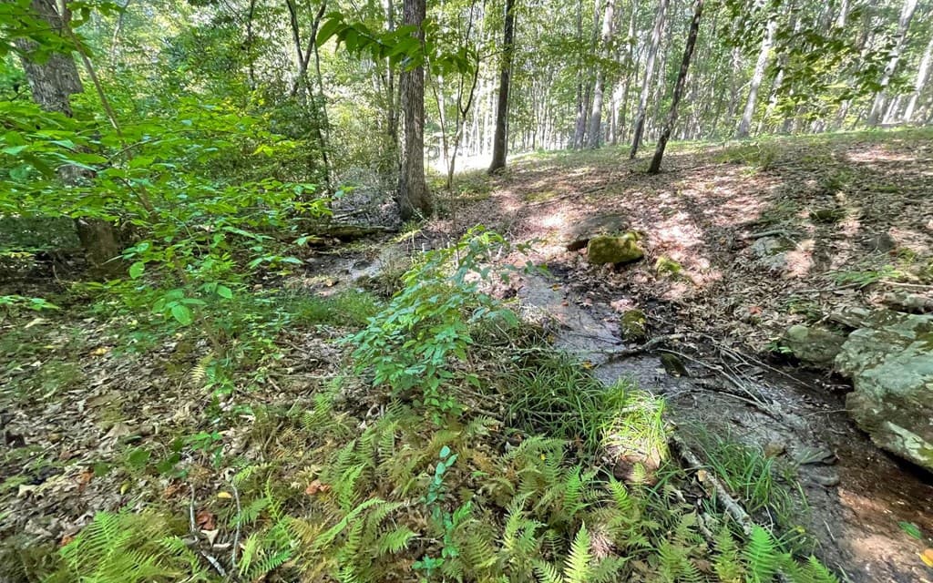 Lot 22 High Meadows, Hayesville NC 28904 - Photo