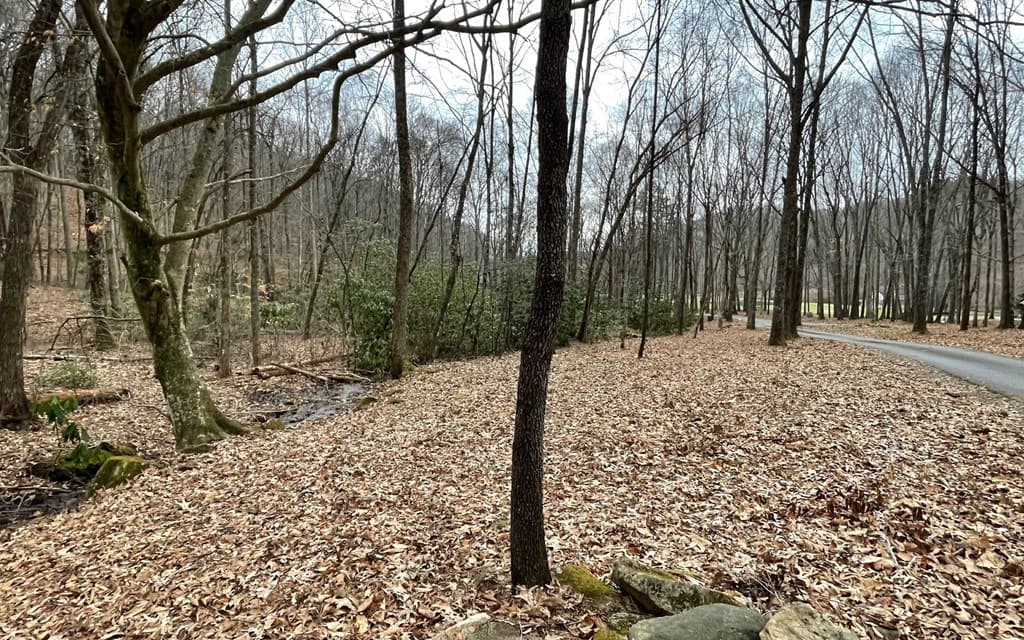 Lot 22 High Meadows, Hayesville NC 28904 - Photo