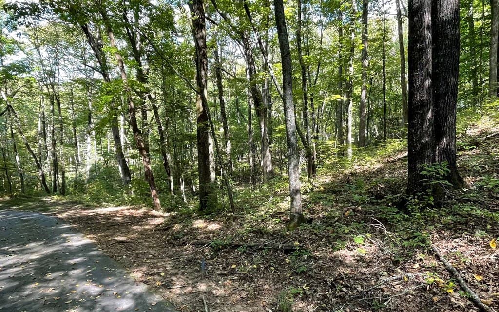 Lot 22 High Meadows, Hayesville NC 28904 - Photo