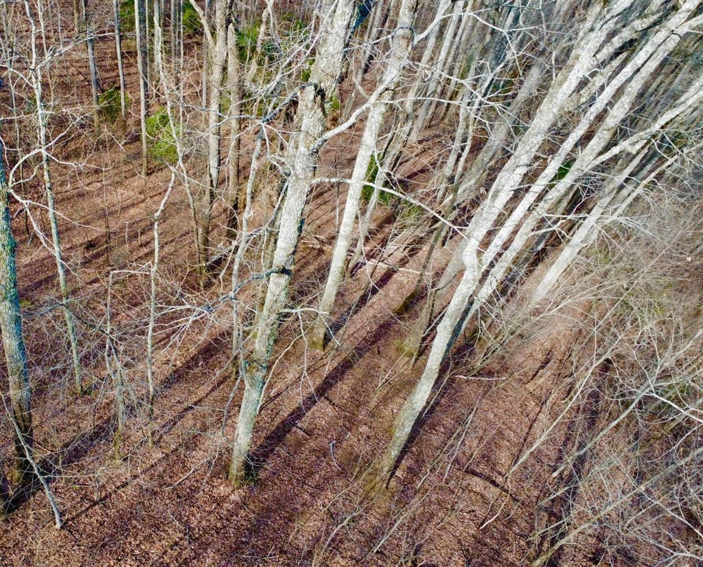 120 Croft Mountain Road, Blairsville GA 30512 - Photo