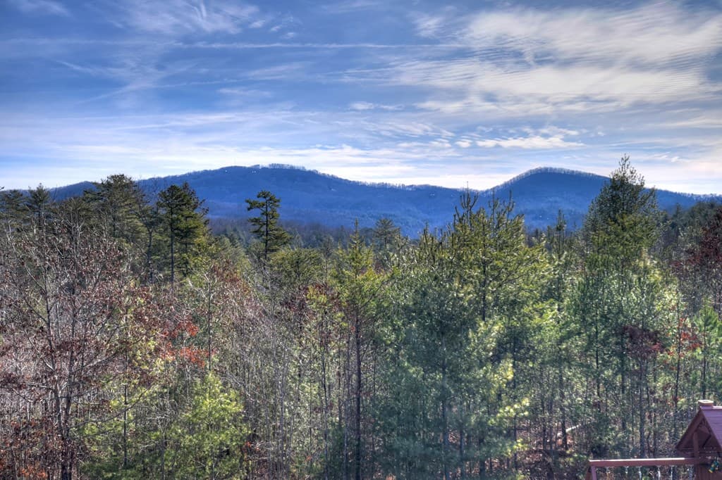 1038 Synacia Drive, Mineral Bluff GA 30559 - Photo