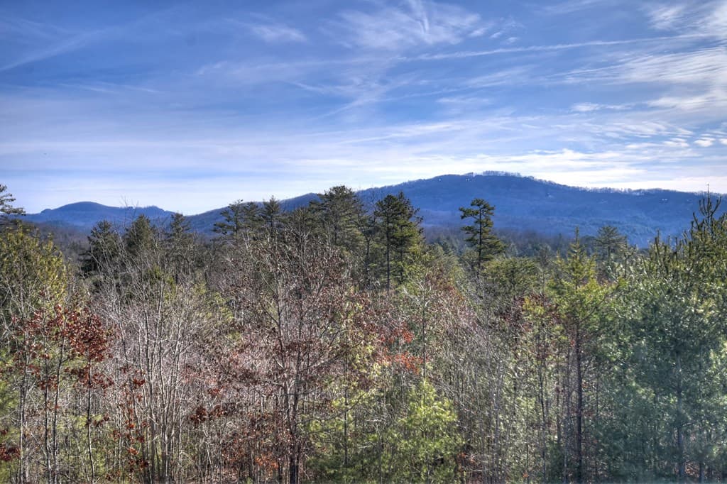 1038 Synacia Drive, Mineral Bluff GA 30559 - Photo