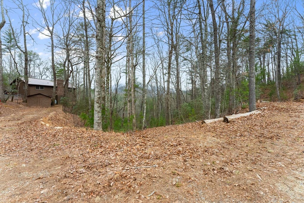 279 Cindy Cove Road, Blairsville GA 30512 - Photo