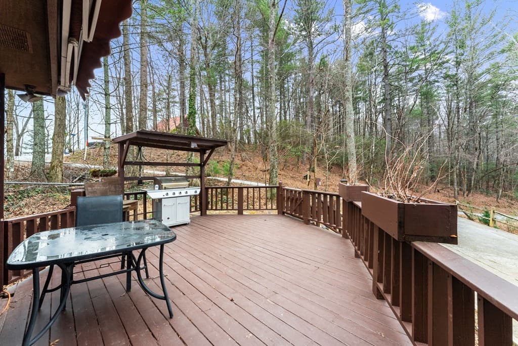 279 Cindy Cove Road, Blairsville GA 30512 - Photo
