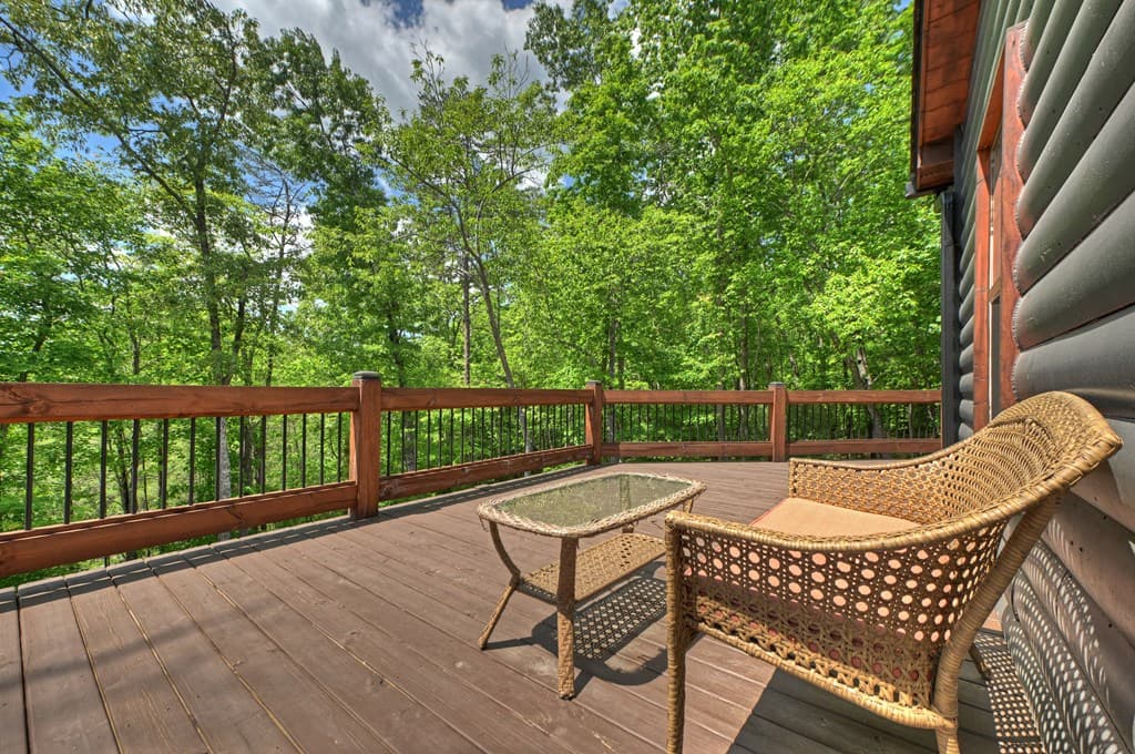 346 Logan Drive, Mineral Bluff GA 30559 - Photo