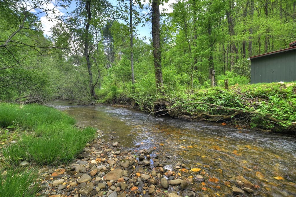 14092 Big Creek Road, Cherry Log GA 30522 - Photo