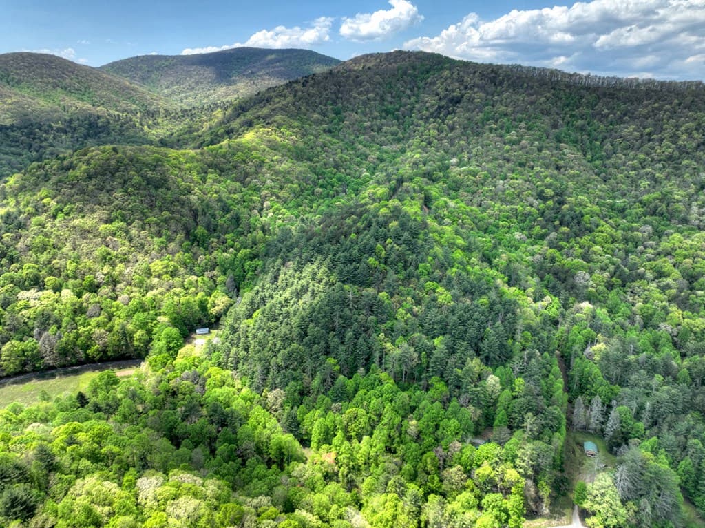 14092 Big Creek Road, Cherry Log GA 30522 - Photo