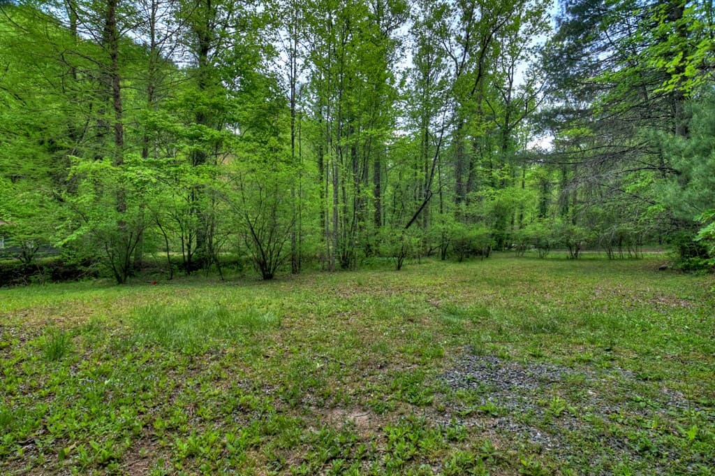 14092 Big Creek Road, Cherry Log GA 30522 - Photo