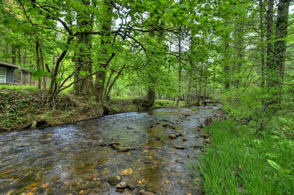 14092 Big Creek Road, Cherry Log GA 30522 - Photo