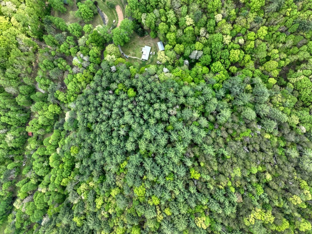 14092 Big Creek Road, Cherry Log GA 30522 - Photo