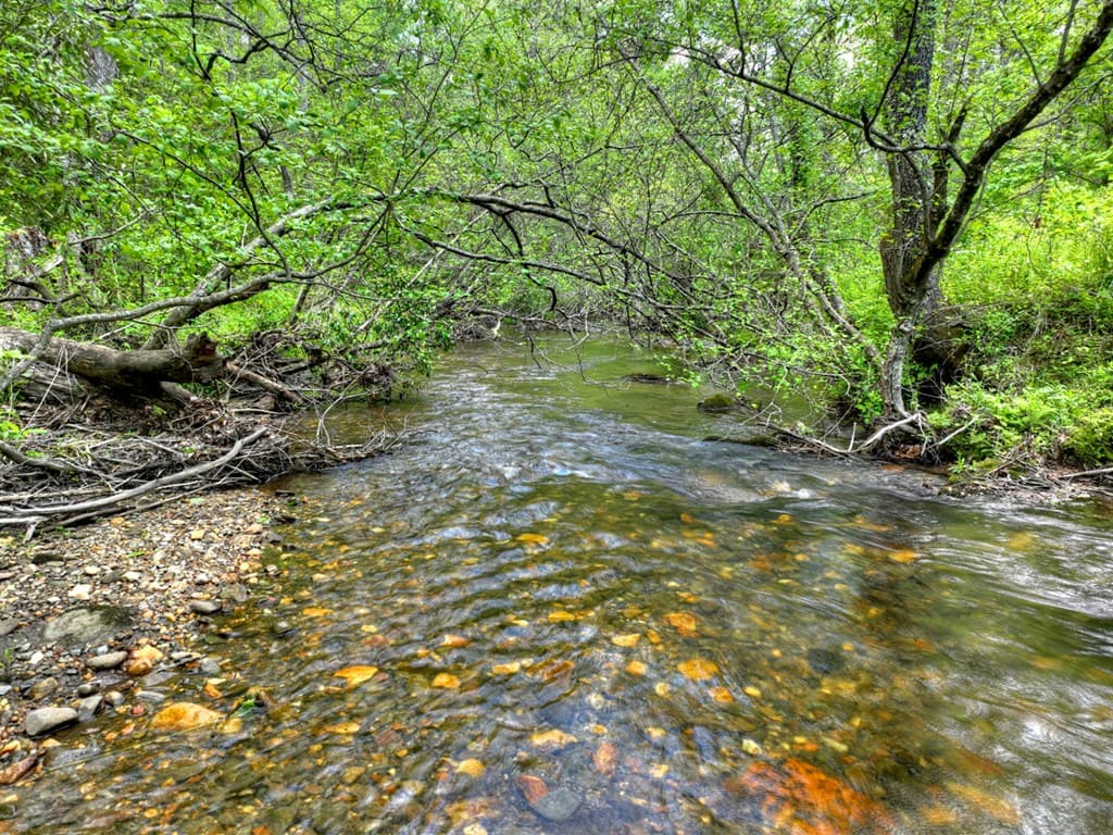 14092 Big Creek Road, Cherry Log GA 30522 - Photo