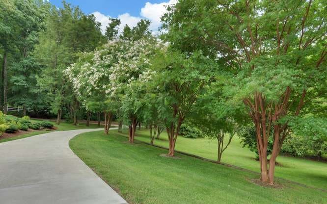461 Kel Horn Road, Blairsville GA 30512 - Photo
