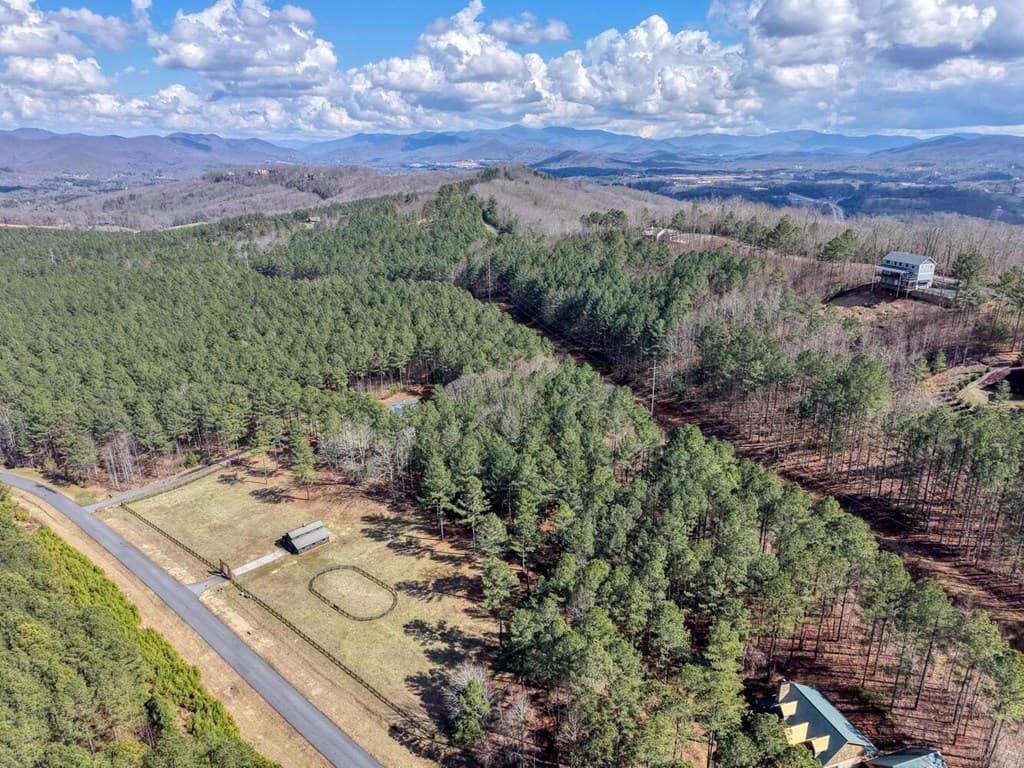 Lot 52 Thirteen Hundred, Blairsville GA 30512 - Photo