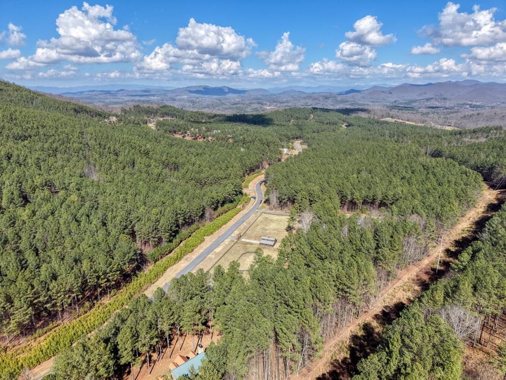 Lot 52 Thirteen Hundred, Blairsville GA 30512 - Photo