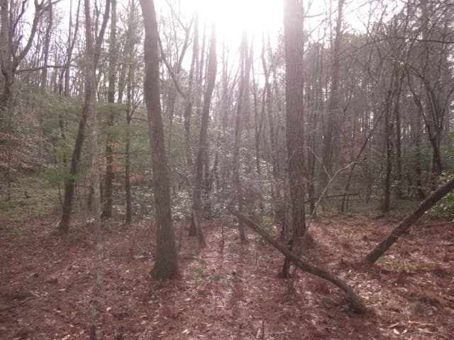0 Sparks Way, Talking Rock GA 30175 - Photo