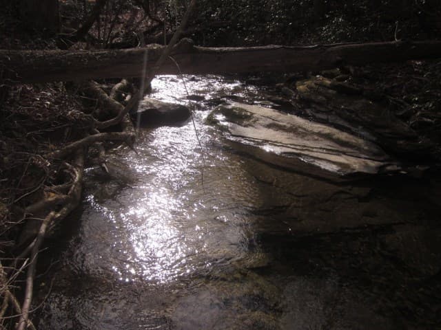 0 Sparks Way, Talking Rock GA 30175 - Photo
