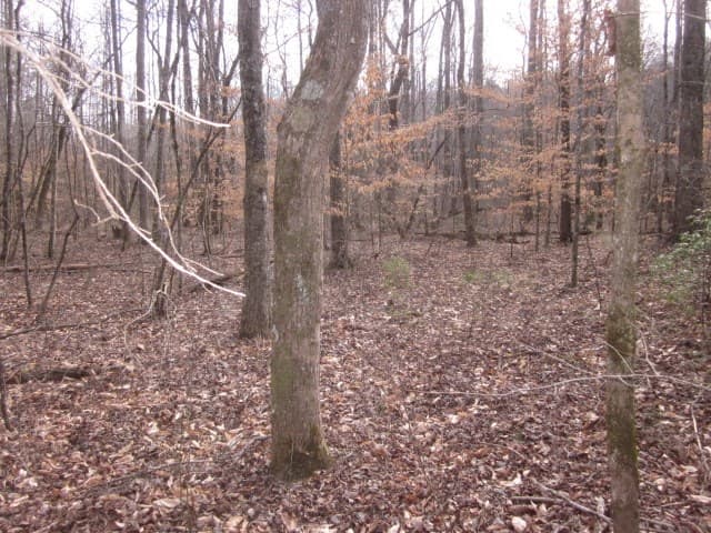 0 Sparks Way, Talking Rock GA 30175 - Photo