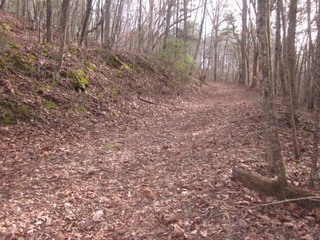 0 Sparks Way, Talking Rock GA 30175 - Photo