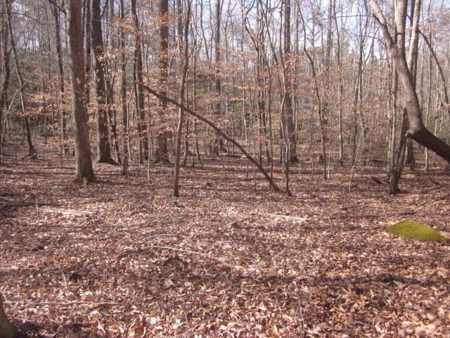 0 Sparks Way, Talking Rock GA 30175 - Photo