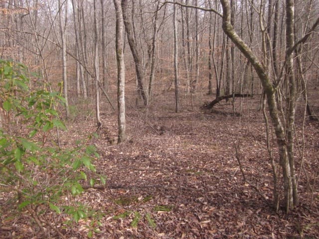 0 Sparks Way, Talking Rock GA 30175 - Photo