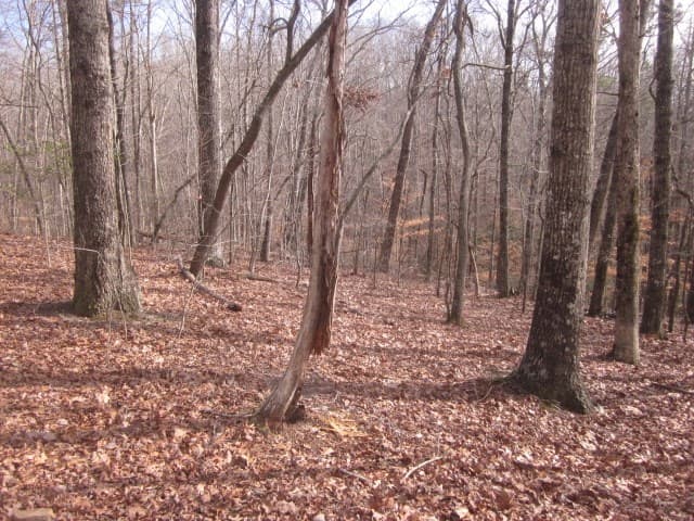 0 Sparks Way, Talking Rock GA 30175 - Photo