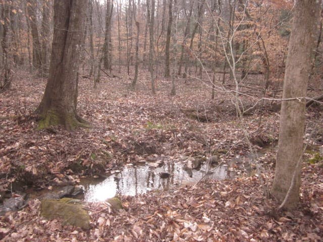0 Sparks Way, Talking Rock GA 30175 - Photo