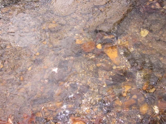 0 Sparks Way, Talking Rock GA 30175 - Photo